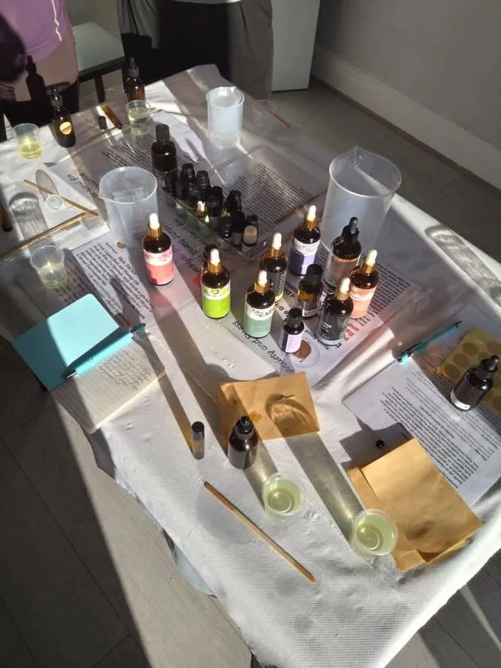 Rows of small essential-oil bottles on a sunlit blending table